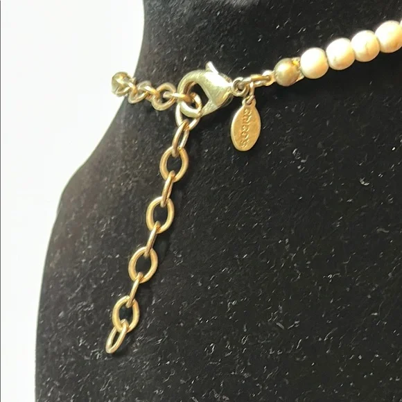 Chico’s Elegant Mother of Pearl Necklace - Picture 5 of 8